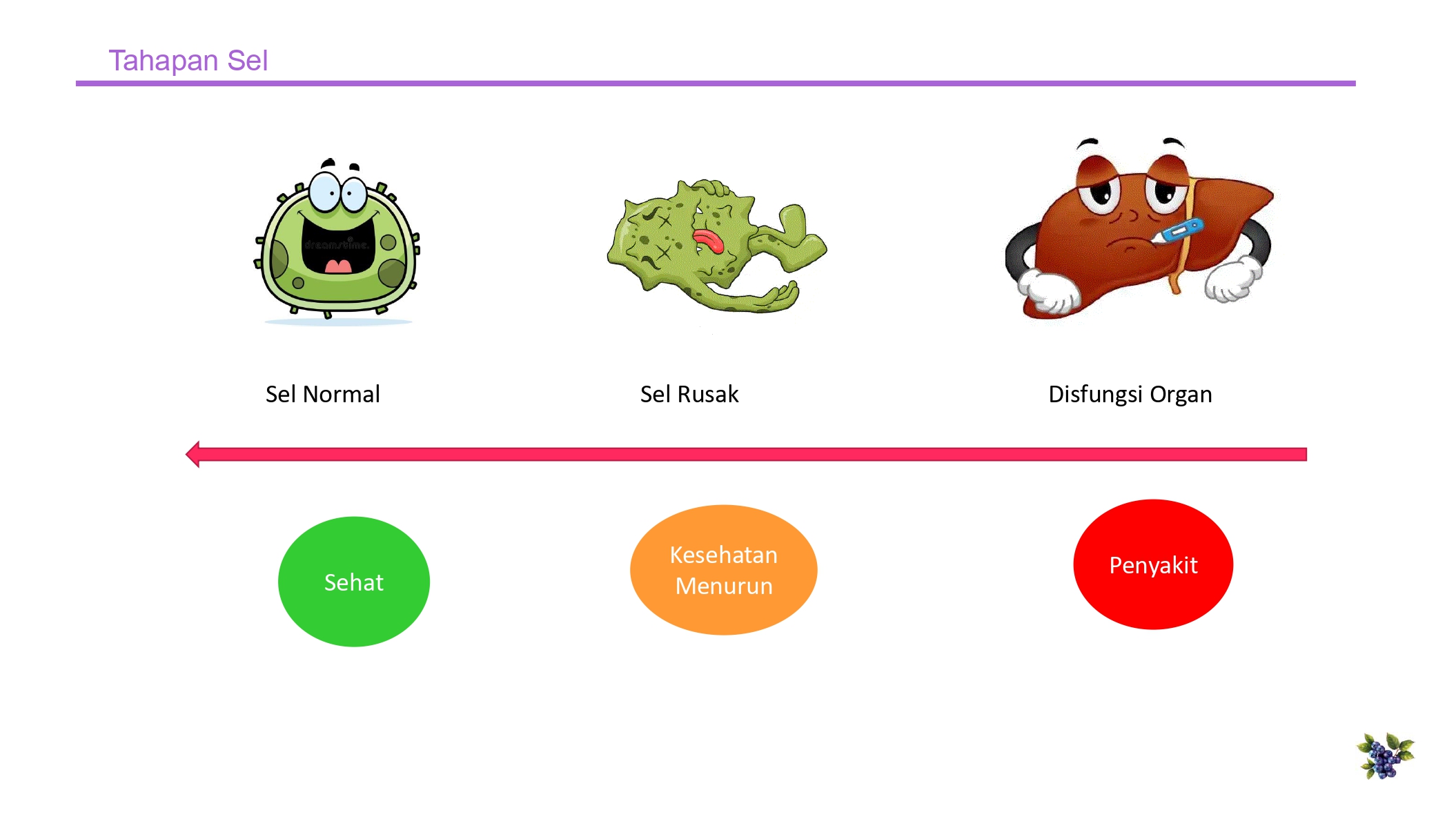 Education content image